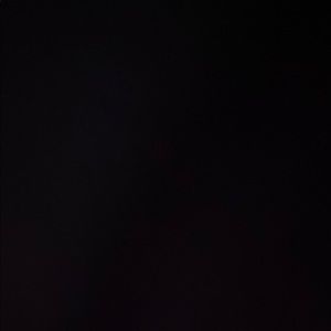 Meet your Posher, Josephine